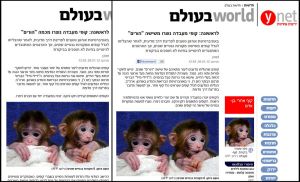 הכתבה לפני ואחרי התיקון. צילומי מסך מאתר Ynet.